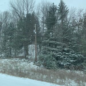 Meet your Posher, Minette